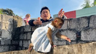 Monkey Tina ran fast when she saw that Uncle Tuan and monkey Xuka could not catch up.