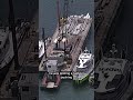 Tugboat captain charged in deadly Miami sailing camp tragedy, feds say