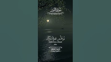 قرآن كريم بصوت الشيخ ماهر المعيقلي سورة النور ستوريات دينيه