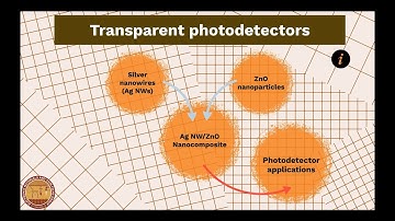 Flexible transparent photodetector