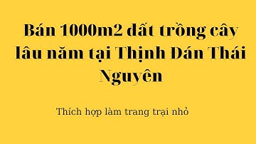 #5 Bán 1000m2 đất trồng cây lâu năm tại Thịnh Đán Thái Nguyên