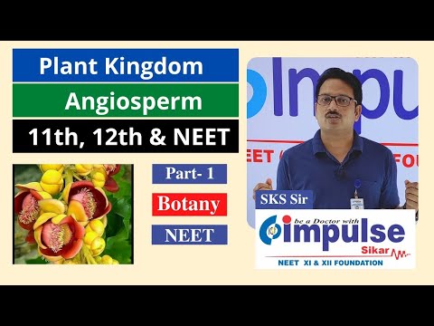 Plant Kingdom (Angiosperm)-10 By SKS Sir | Biology | NEET, Class 11 & 12