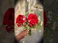 “A rose, nothing more. 🌹#flowers #quotes #redrose #song #bestmoments #love #beautifulroses
