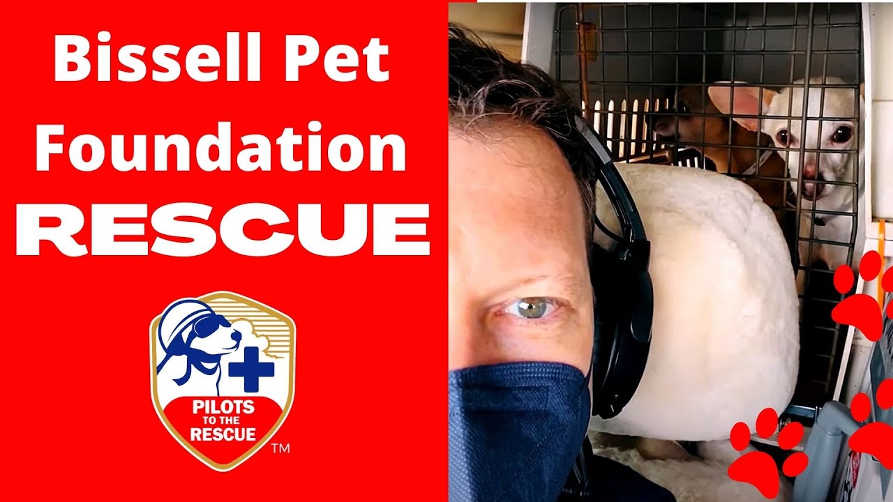 Animal rescue mission with Bissell Pet Foundation
