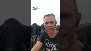 Nmv Jeroen Van Maanen Laatste Aanwijzingen Boerenactiedag