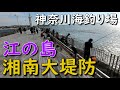 神奈川堤防釣り場 江ノ島 湘南大堤防 白灯台 堤防釣り ポイント ルアー 駐車場 サビキ釣り ショアジギング 青物 エギング アオリイカ フカセ釣り 投げ釣り MANCING MANIA JAPAN