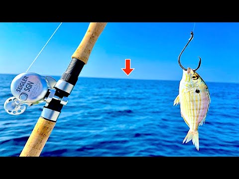 Fishing a LIVE! Pinfish *120ft.* DEEP in the GULF of MEXICO for Dinner....[EPIC Results]