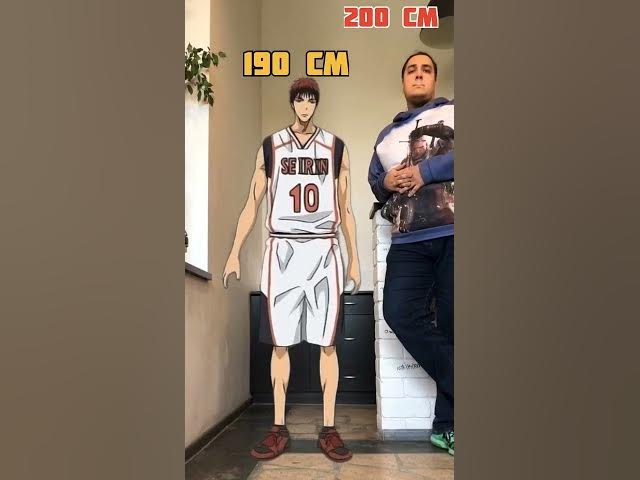 Kuroko basketball - HEIGHT comparison