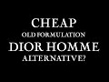 INEXPENSIVE, OLD FORMULATION DIOR HOMME ALTERNATIVE?