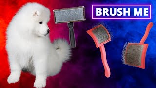 Best Dog Slicker Brush For Long Coats by Yeti’s Place 2,072 views 1 year ago 11 minutes, 55 seconds