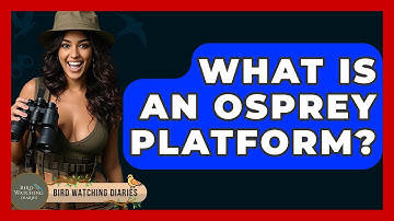 What Is An Osprey Platform? - Bird Watching Diaries