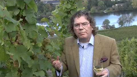 Ernst Loosen-Intro to Dr L Riesling.mp4