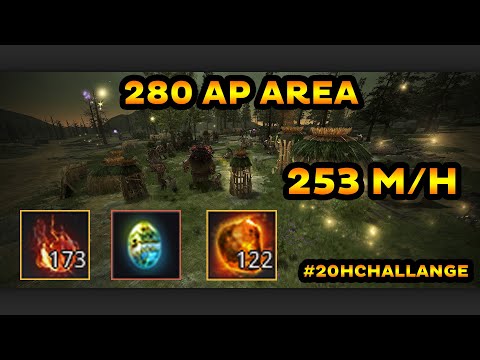 BDO 20 Hours