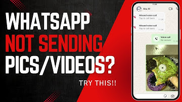 How to Fix WhatsApp Not Sending Photos and Videos on iPhone