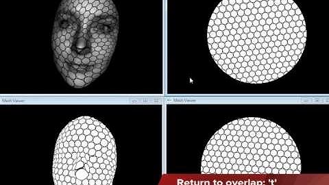 Topology and Geometry 01 - Quasiconformal and Conformal Mapping