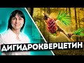 Дигидрокверцетин на защите здоровья Доктор Лисенкова