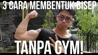 3 Gerakan Terbaik Membentuk Otot Bisep TANPA GYM | PHS