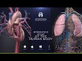 Anatomyka app  now available for android ios windows  macos