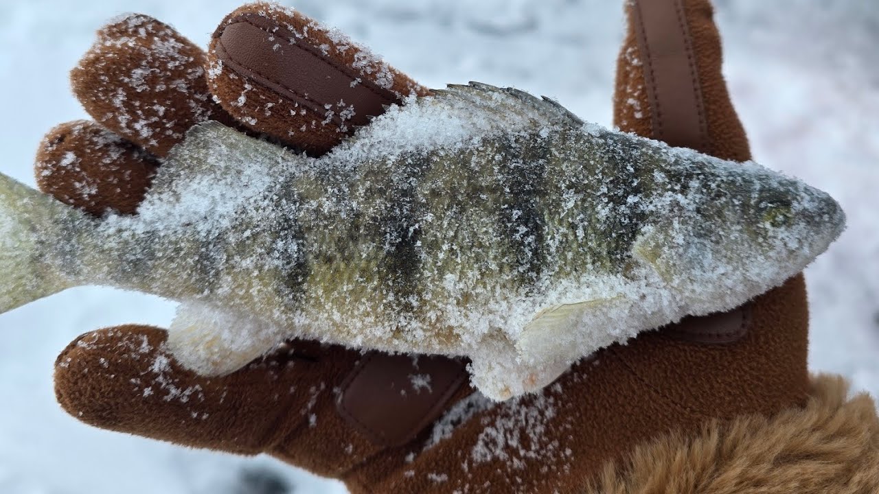 Ice Fishing at Findlay Reservoir 