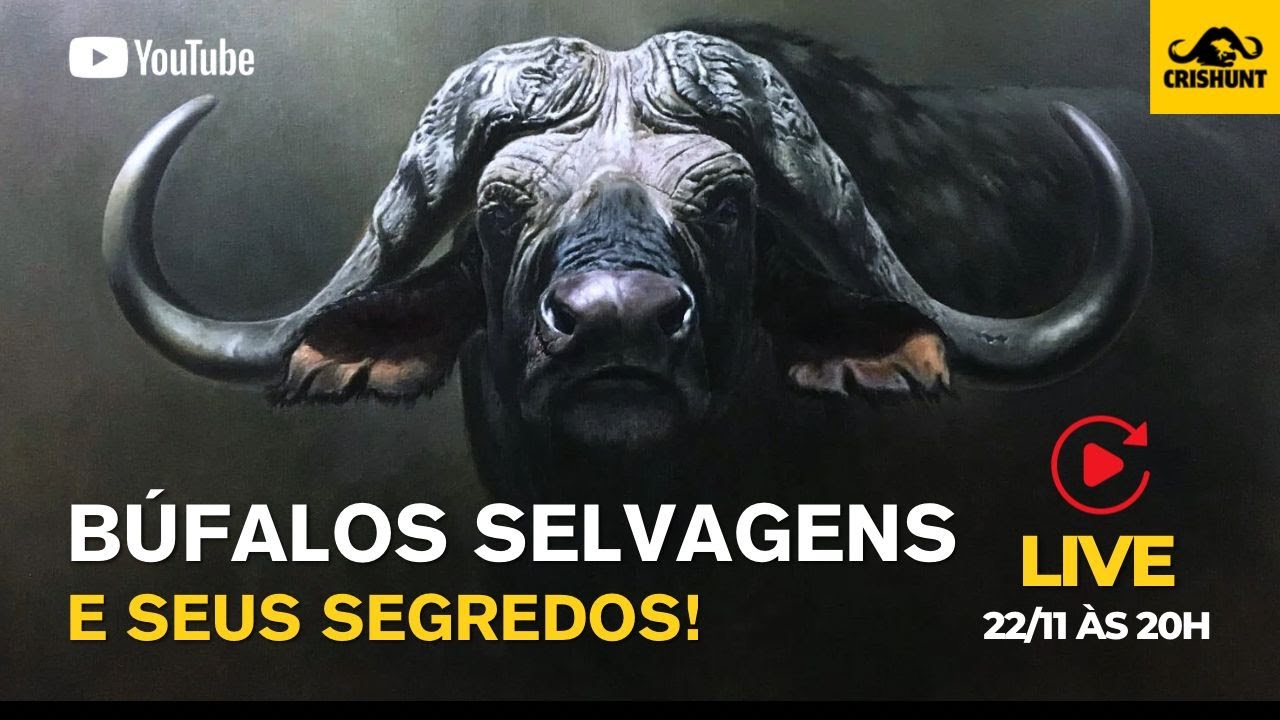Búfalos Selvagens