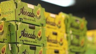 GLOBALink | China receives 1st big batch of fresh avocados imported from Africa