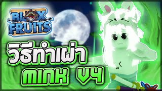 Blox Fruits: RACE V4 ⚡ วิธีทำเผ่า Mink v4 ขั้นสุดยอดแบบละเอียด!! เผ่าที่มีพายุและเร็วดุจดั่งสายฟ้า!?