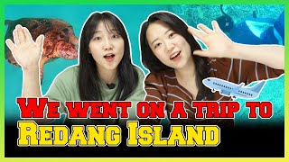 ????We went on a trip to Redang Island | Reaction by Koreans | EP28