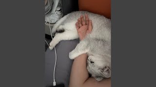 如果看到這裡希望你快樂