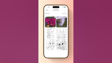 FileManager & Image Gallery with SwiftUI - IOS18