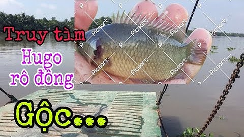 Hành trình truy tìm cá rô đồng Hugo gộc của Lukas Ho fishing,kết quả chưa như mong muốn.
