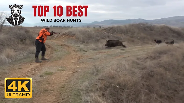 Top 10 wild boar hunts of "Boars and Hunters" SEASON 1