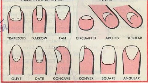 ¿Qué forma de uña queda más natural?