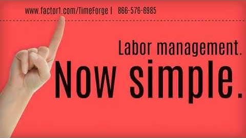 TimeForge - Time & Attendance Software