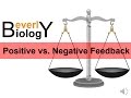 Feedback Mechanisms in Biological Systems