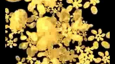 My Blender array very first test