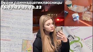 11 класс VLOG #2: учеба, репетиторы || неделя влогов