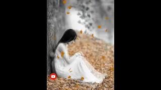 No regret by Samantha Jones. Album : Alle 13 goed!  Launching 1971.