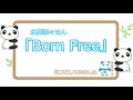 【やんわり耳コピ】水樹奈々さんの「Born Free」