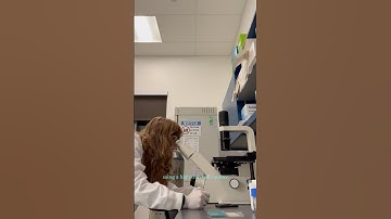 A day in the lab at the MacVicar lab #neuroscience