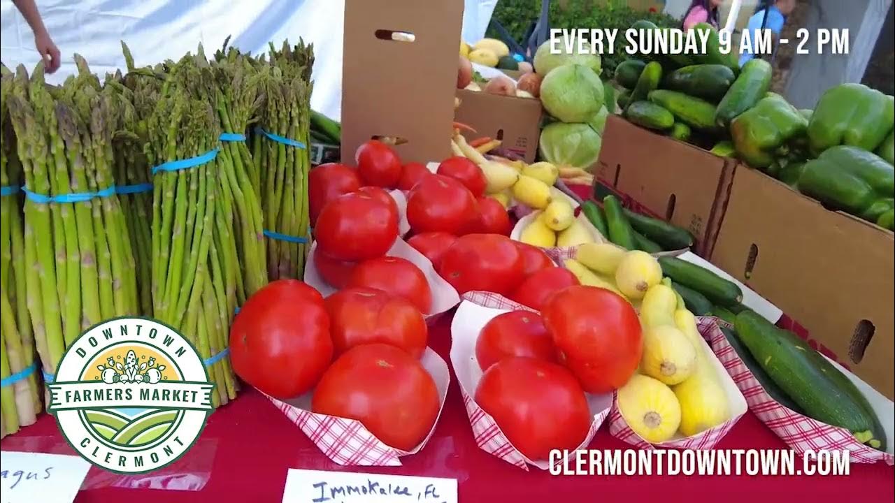Downtown Clermont Farmers Market YouTube