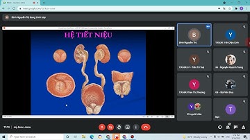giải phẫu hệ tiết niệu ĐH y-dược Thái Nguyên