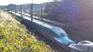 E5系U編成+E6系Z編成　はやぶさ２４＋こまち２４　E5系U編成　やまびこ２１１
