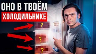 ЧТО БУДЕТ ЕСЛИ ЕСТЬ ПРОДУКТЫ ВЫЗЫВАЮЩИЕ ЗАВИСИМОСТЬ? | Эксперимент