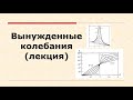 Лекция по теме &quot;Вынужденные колебания материальной точки&quot;