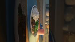Lets Eat - Short Film