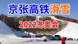 坐京张高铁到太子城站去崇礼滑雪的行程分享高铁和巴士直达雪场Sharing the journey of skiing in Chongli by high speed rail