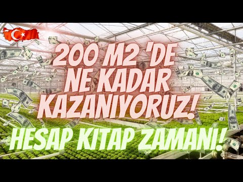 200 M²  Marul Serasında "Ne KADAR KAZANIYORUZ " ... Hesap kitap zamanı.....