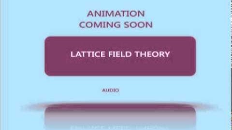lattice field theory