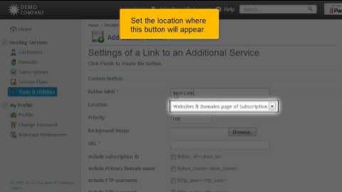 Creating custom buttons in Plesk