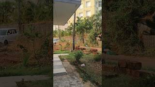 None can help you but you!! #75hardchallenge #pcod #food #alonebutalive #cooking #alonebutstrong